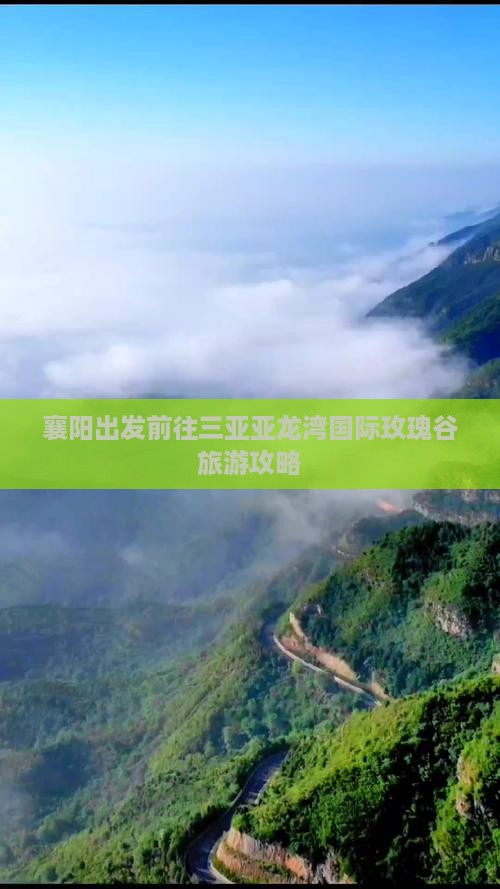 襄樊前往三亚亚龙湾国际玫瑰谷旅游打卡点