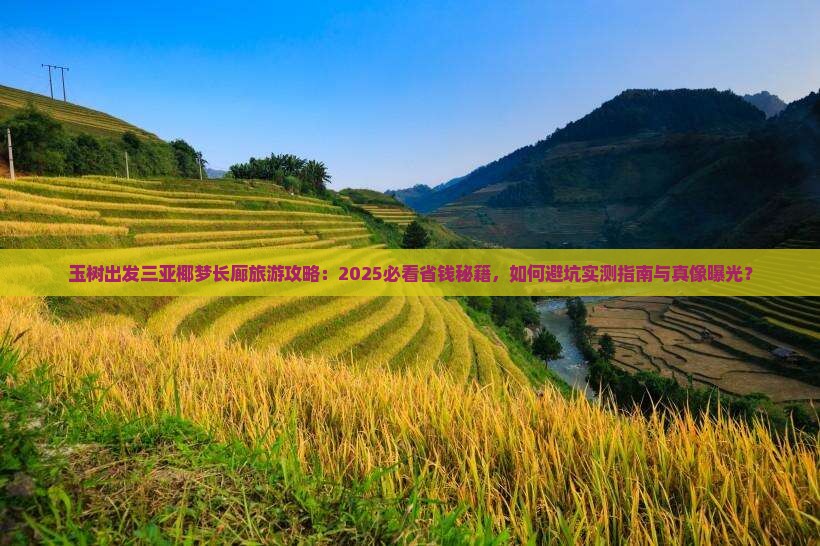 玉树出发三亚椰梦长廊旅游