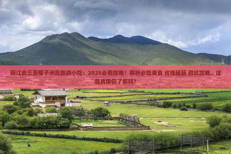 丽江去三亚椰子洲岛旅游小吃