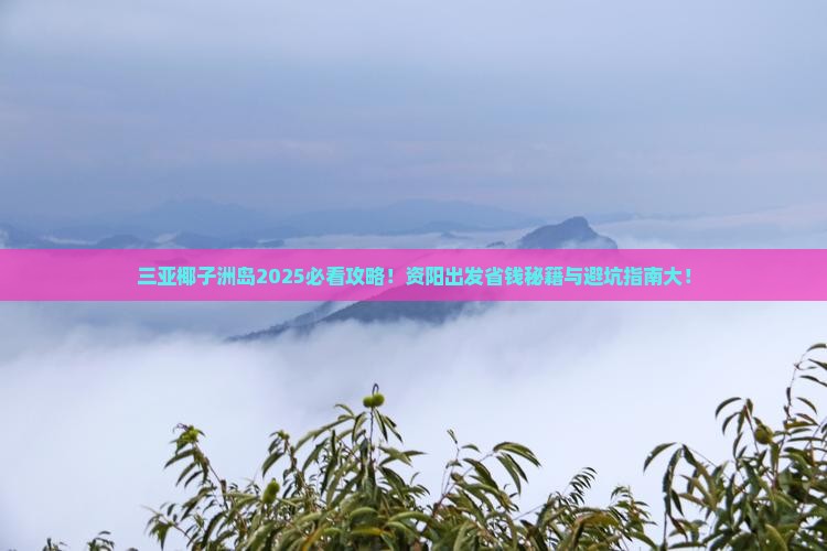 资阳出发三亚椰子洲岛旅游网红地点