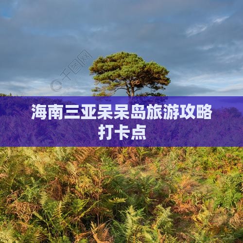 白银去三亚呆呆岛旅游打卡点
