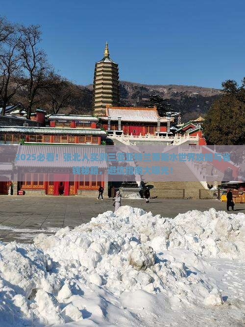 张北去三亚亚特兰蒂斯水世界个人游