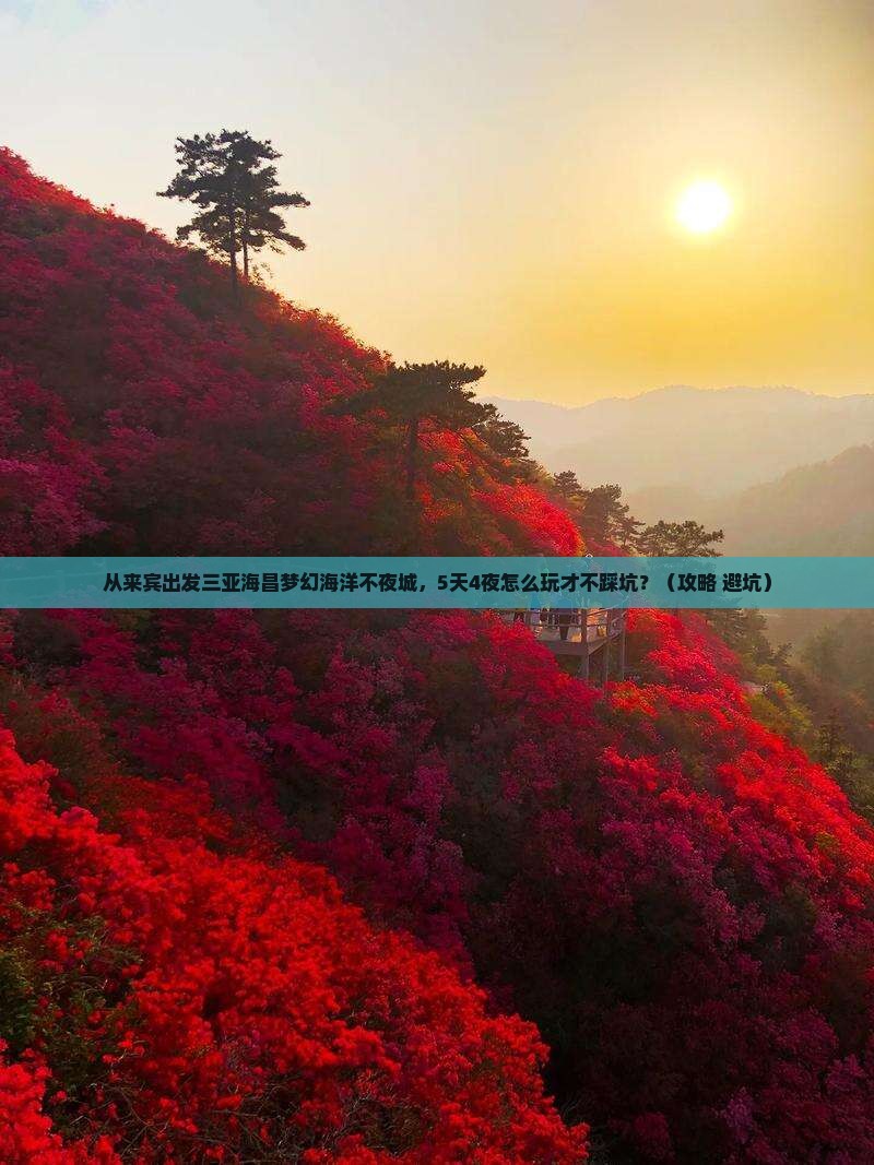 来宾出发三亚海昌梦幻海洋不夜城攻略