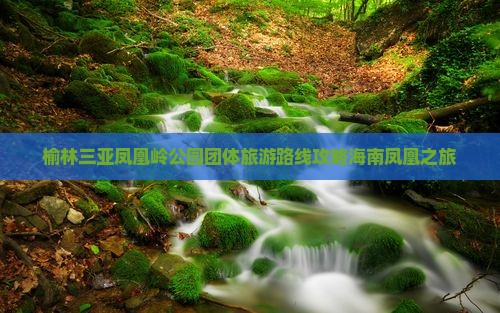 榆林去三亚凤凰岭公园团体旅游