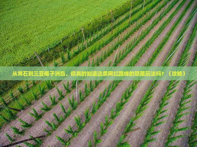 黄石出发三亚椰子洲岛旅游网红地点