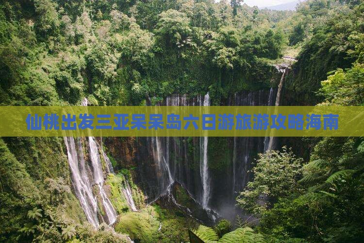 仙桃出发三亚呆呆岛六日游