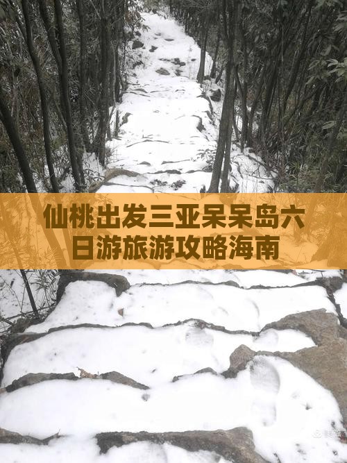 仙桃出发三亚呆呆岛六日游