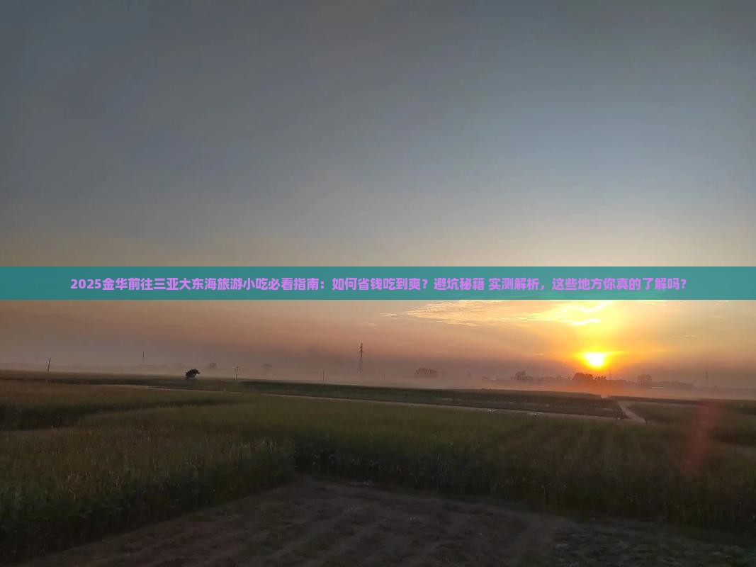 金华前往三亚大东海旅游小吃
