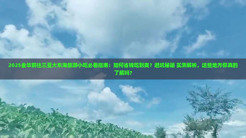 金华前往三亚大东海旅游小吃