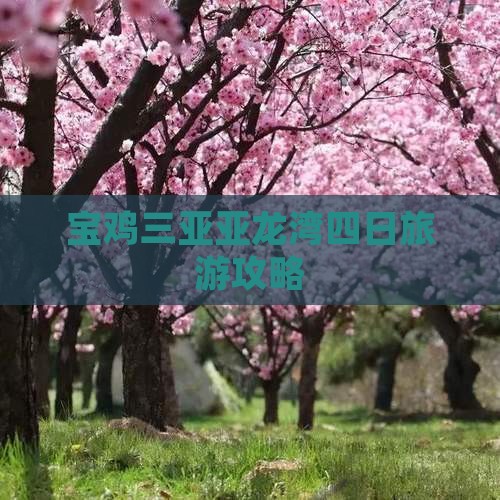 宝鸡去三亚亚龙湾四日游