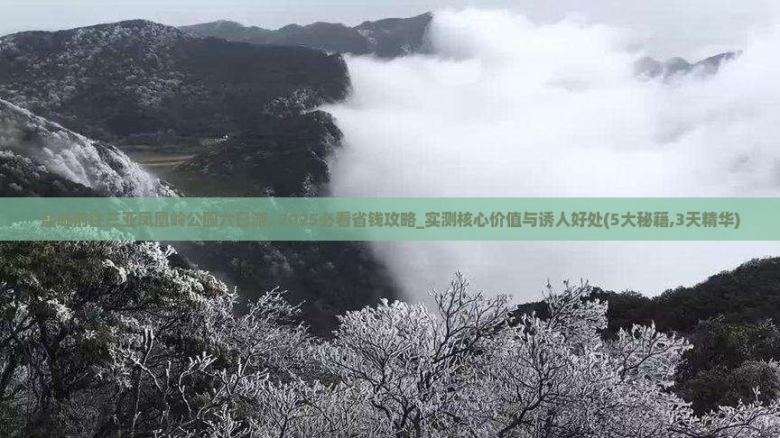 盐城前往三亚凤凰岭公园六日游