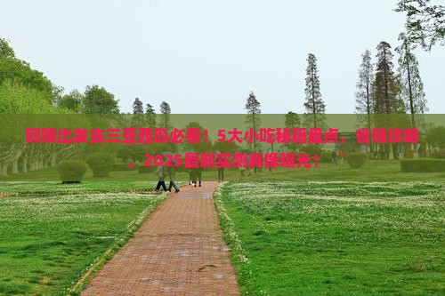铜陵去三亚西岛旅游小吃