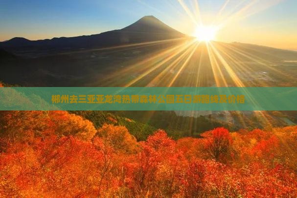 郴州去三亚亚龙湾热带森林公园五日游
