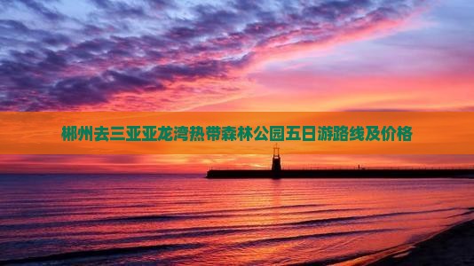 郴州去三亚亚龙湾热带森林公园五日游
