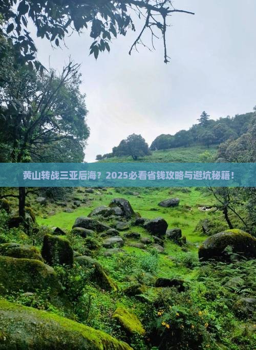 黄山去三亚后海旅行社