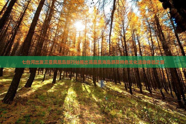 七台河出发三亚凤凰岛旅行社推出高品质海岛游及特色文化活动体验之旅