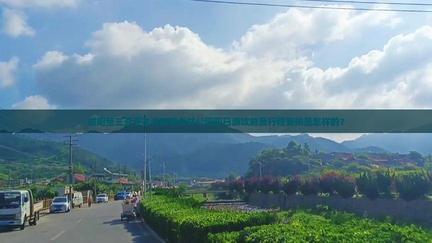 咸阳至三亚亚龙湾热带森林公园四日游攻略及行程安排是怎样的？