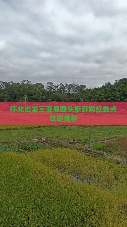 怀化出发三亚鹿回头旅游网红地点攻略推荐