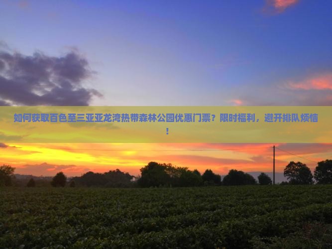 如何获取百色至三亚亚龙湾热带森林公园优惠门票？限时福利，避开排队烦恼！