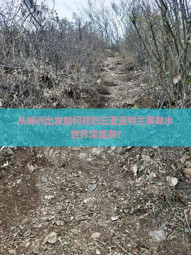 从株洲出发如何规划三亚亚特兰蒂斯水世界深度游？
