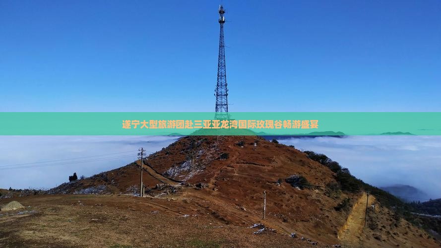 遂宁大型旅游团赴三亚亚龙湾国际玫瑰谷畅游盛宴