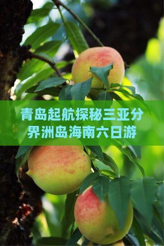 青岛起航探秘三亚分界洲岛海南六日游
