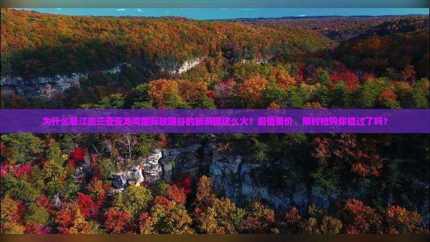 为什么怒江去三亚亚龙湾国际玫瑰谷的旅游团这么火？超值低价、限时抢购你错过了吗？