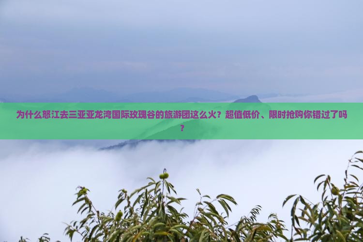 为什么怒江去三亚亚龙湾国际玫瑰谷的旅游团这么火？超值低价、限时抢购你错过了吗？