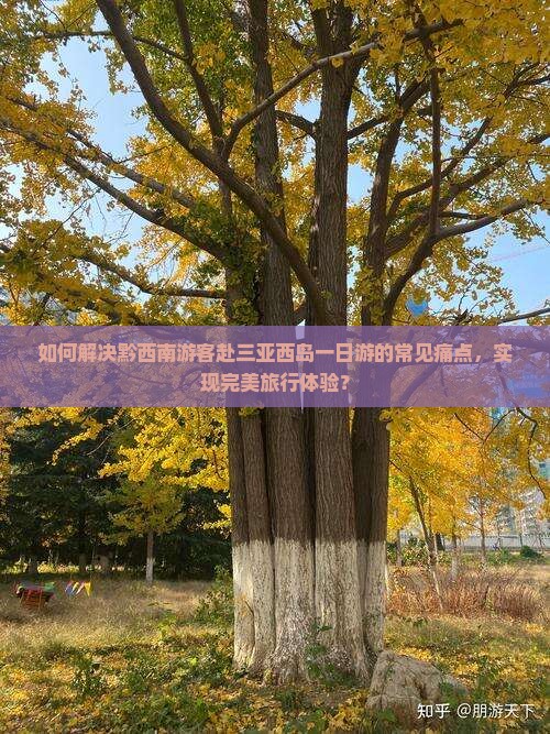 如何解决黔西南游客赴三亚西岛一日游的常见痛点，实现完美旅行体验？