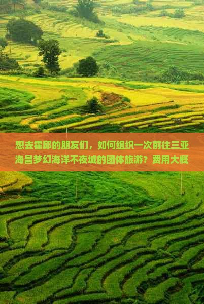 想去霍邱的朋友们，如何组织一次前往三亚海昌梦幻海洋不夜城的团体旅游？费用大概是多少？行程安排需要注意什么？