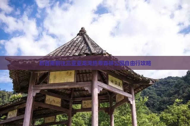 黔西南前往三亚亚龙湾热带森林公园自由行攻略