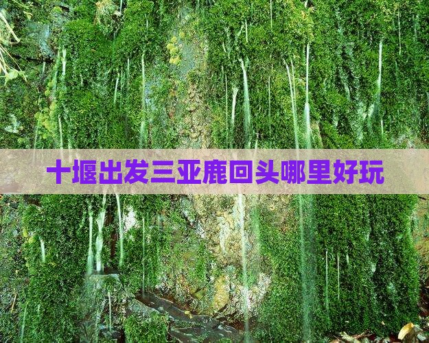 十堰出发三亚鹿回头哪里好玩