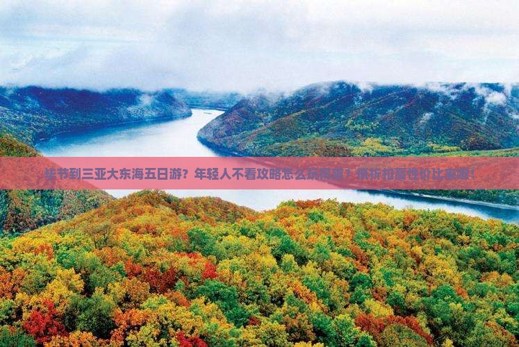 毕节到三亚大东海五日游？年轻人不看攻略怎么玩得爽？低折扣高性价比来啦！