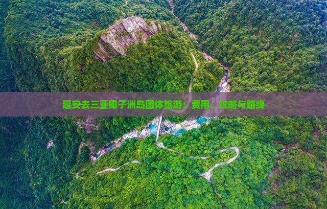 延安去三亚椰子洲岛团体旅游：费用、攻略与路线