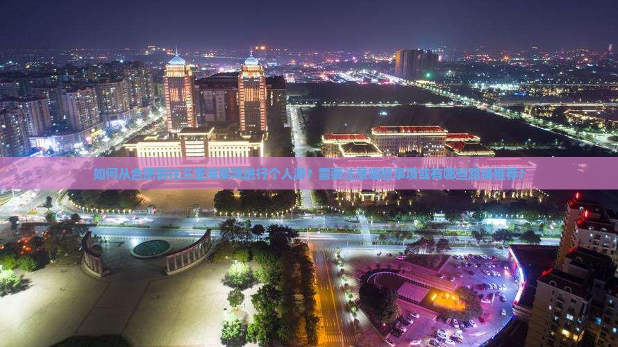 如何从合肥前往三亚海棠湾进行个人游？需要注意哪些事项或有哪些路线推荐？