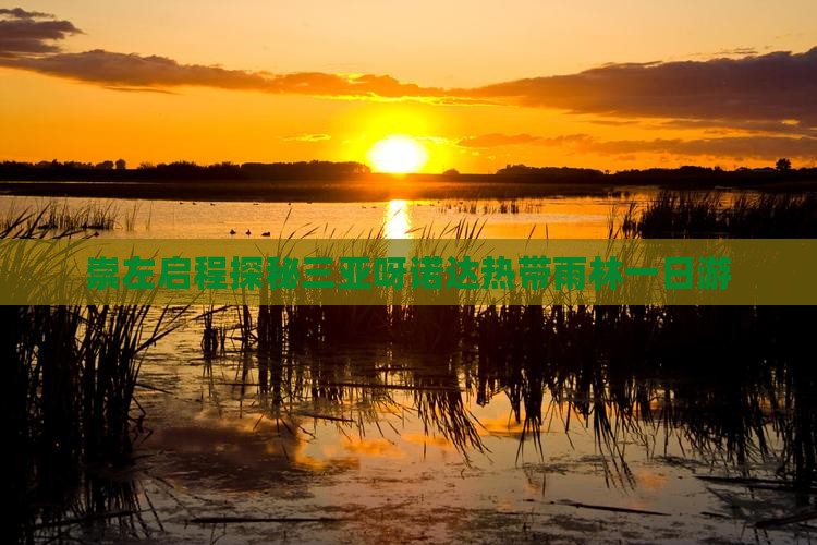 崇左启程探秘三亚呀诺达热带雨林一日游