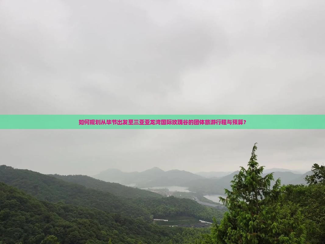 如何规划从毕节出发至三亚亚龙湾国际玫瑰谷的团体旅游行程与预算？