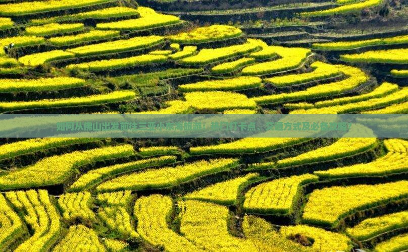 如何从佛山出发前往三亚小东海旅游：热门打卡点、交通方式及必备攻略？