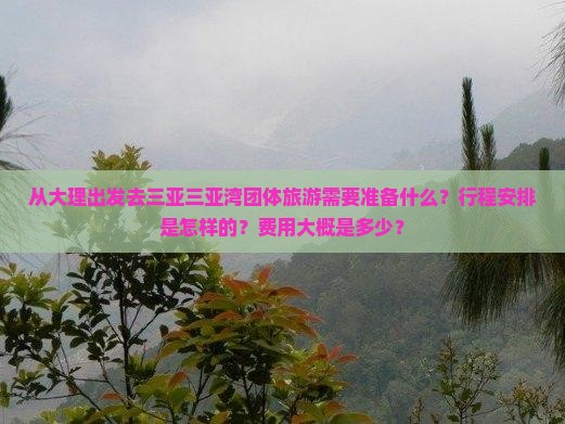 从大理出发去三亚三亚湾团体旅游需要准备什么？行程安排是怎样的？费用大概是多少？