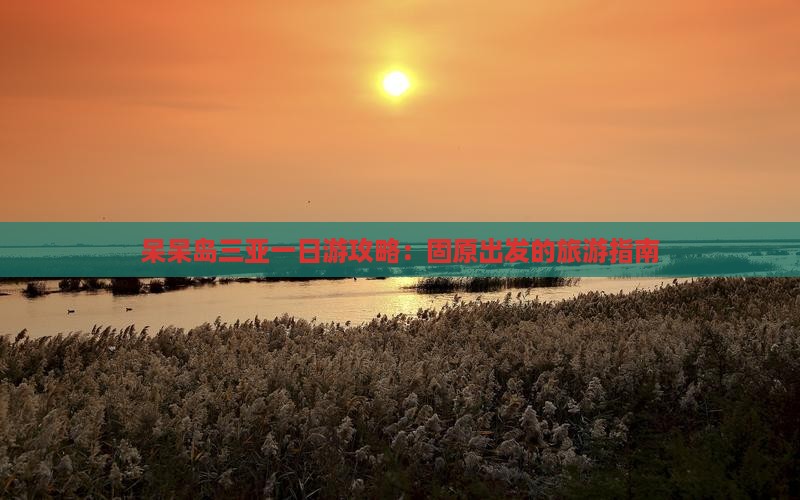 呆呆岛三亚一日游攻略：固原出发的旅游指南