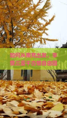 如何从南充出发，享受三亚千古情自由团的独特体验？旅行新趋势下的痛点解决方案！