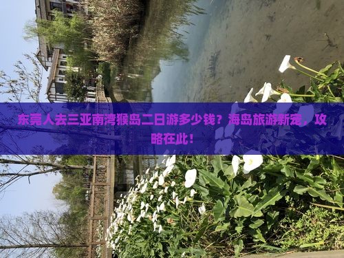 东莞人去三亚南湾猴岛二日游多少钱？海岛旅游新宠，攻略在此！