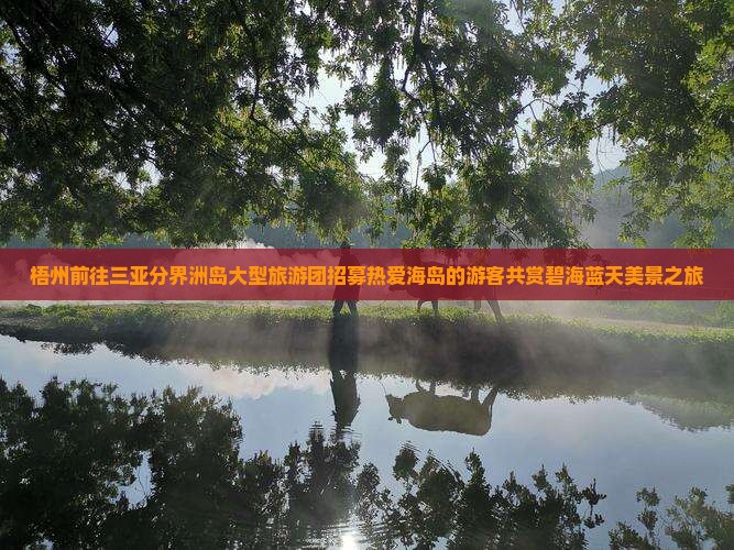 梧州前往三亚分界洲岛大型旅游团招募热爱海岛的游客共赏碧海蓝天美景之旅