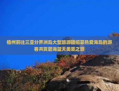 梧州前往三亚分界洲岛大型旅游团招募热爱海岛的游客共赏碧海蓝天美景之旅