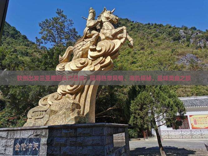 钦州出发三亚鹿回头六日游：探寻热带风情、海岛探秘、品味美食之旅