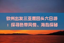 钦州出发三亚鹿回头六日游：探寻热带风情、海岛探秘、品味美食之旅