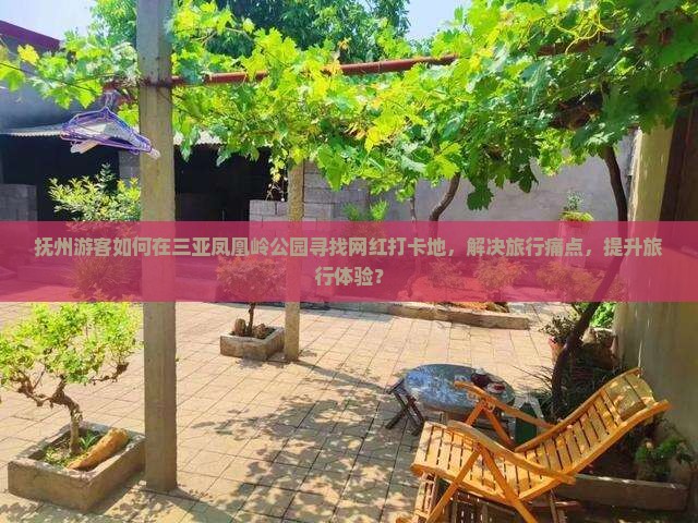 抚州游客如何在三亚凤凰岭公园寻找网红打卡地，解决旅行痛点，提升旅行体验？