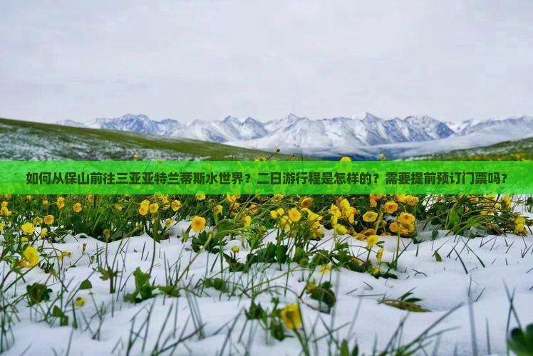 如何从保山前往三亚亚特兰蒂斯水世界？二日游行程是怎样的？需要提前预订门票吗？