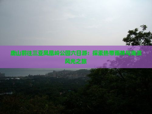 唐山前往三亚凤凰岭公园六日游：探索热带雨林与海滨风光之旅
