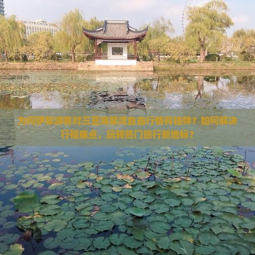 为何伊犁游客对三亚海棠湾自由行情有独钟？如何解决行程痛点，玩转热门旅行新地标？